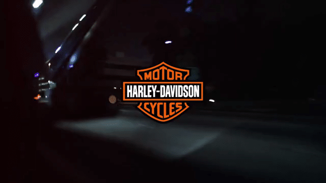 Harley Davidson _ Press Trip 2011-low